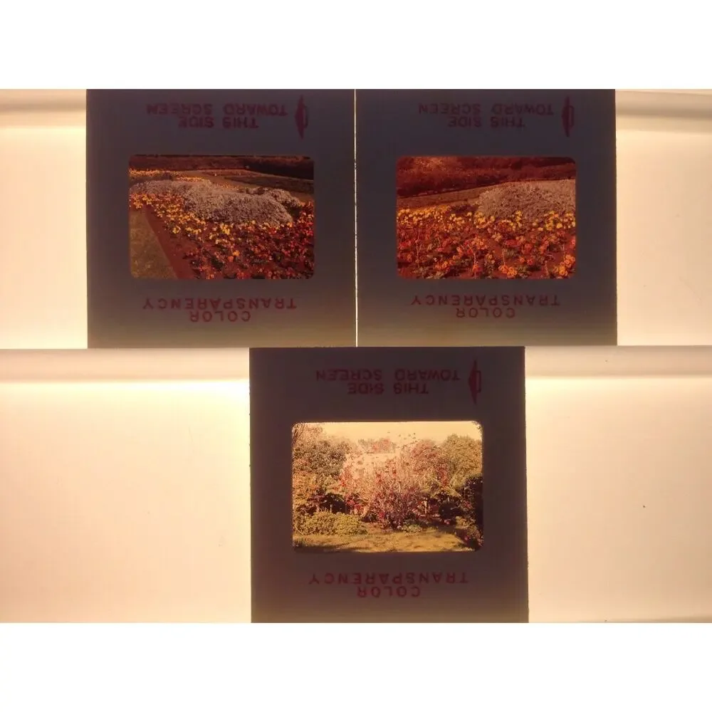 Lot 3 Vintage 1970 Garden Flowers Yard Floral Landscape Photograph Color Slides